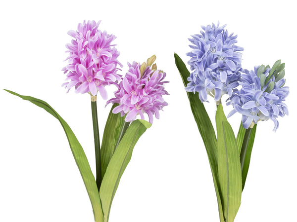 Hyazinthen H: 30cm 2er Set