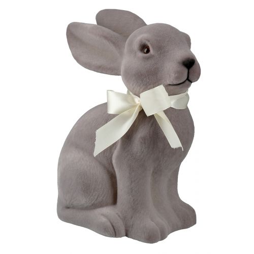 Hase 