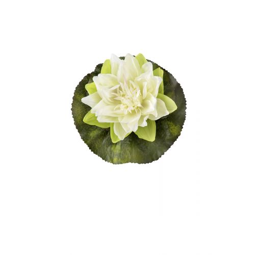 Lotus Schwimmrosen Ø 17cm