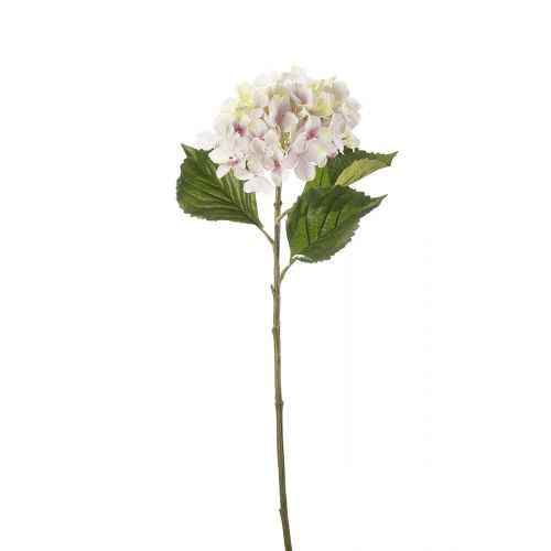 Stielblume, Hortensie H: 65cm