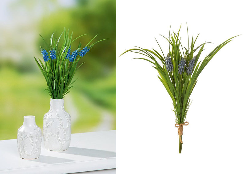 Bündel Hyazinthe Höhe: 40cm