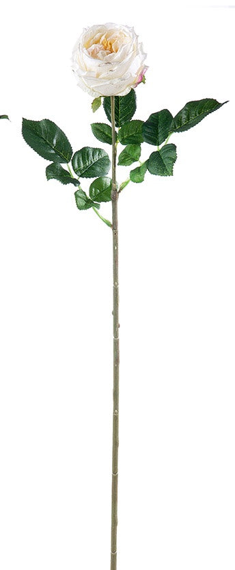 Stielblume Rose H: 61cm weiss