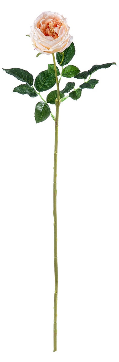 Stielblume Rose H: 61cm Orange