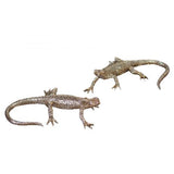 Gecko 2er Set