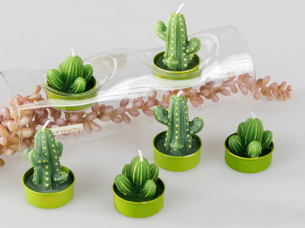 Kakteen 6 Teelichter im Geschenkkarton
