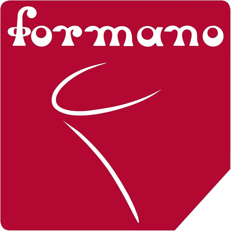 formano Metall-Figur Leguan „Street-Art“ – Handbemalt, In- & Outdoor Skulptur, 61 x 28 cm